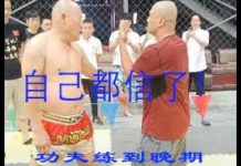 林林七:从太极拳铁裆功到美女机器人,中国功夫式的搞笑