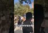 新高地TV:中国高校已成非洲黑猎艳的乐土,用一个“贱”字难以形容拜金女