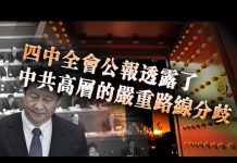 张杰:四中全会公报透露了中共高层的严重路线分歧