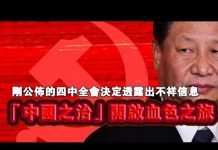 张杰:刚公布的四中全会决定透露出不祥信息 “中国之治”开启血色之旅