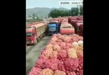 新高地TV:厉害国过桥过路费太贵,农民卖不起只能倒了