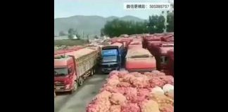 新高地TV:厉害国过桥过路费太贵,农民卖不起只能倒了