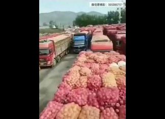 新高地TV:厉害国过桥过路费太贵,农民卖不起只能倒了