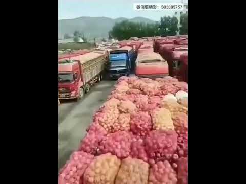 新高地TV:厉害国过桥过路费太贵,农民卖不起只能倒了