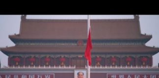 陶杰:中国学美国发绿卡 也得有人愿意抢着拿