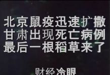财经冷眼:北京鼠疫迅速扩撒,甘肃现死亡病例,最后一根稻草终于来了