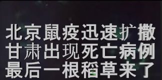 财经冷眼:北京鼠疫迅速扩撒,甘肃现死亡病例,最后一根稻草终于来了