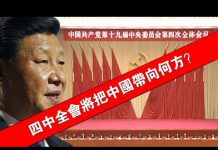 张杰:四中全会将把中国带向何方?