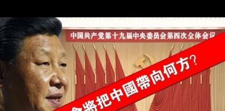 张杰:四中全会将把中国带向何方?