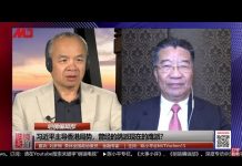 刘梦熊 陈小平:习近平祸乱香港还想问责张德江?