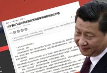 评定天下:新华社打响反习第一枪? 求饶有点晚,中纪委面临大调整