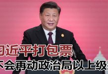 明镜:习近平四中全会打包票:政治局以上级别不会再有事;纽时:北京或在香港恢复煽动颠覆国家罪