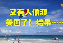 金牌资讯网 TV:美国ICE逮捕6名中国偷渡客