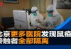 华尔街网报:北京医院发现更多鼠疫病例;接触者全部隔离