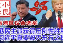 小民之心:香港区议会选举:港民主派获得压倒性胜利 习近平真要毁灭东方之珠?