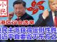 小民之心:香港区议会选举:港民主派获得压倒性胜利 习近平真要毁灭东方之珠?