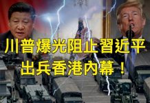 文昭:川普曝光阻止中共出兵香港内幕!习近平求和;区议会选举揭晓