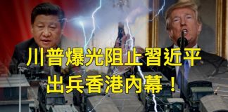 文昭:川普曝光阻止中共出兵香港内幕!习近平求和;区议会选举揭晓