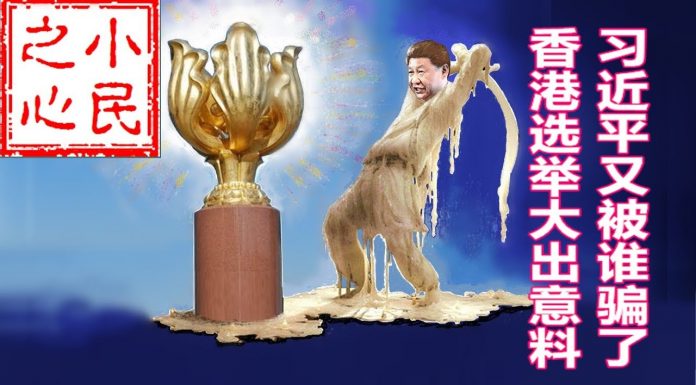小民之心:习近平又被谁骗了 香港选举大出意料