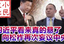 小民之心:习近平看来真的悬了 向松祚再次妄议中央