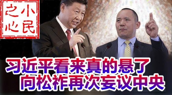 小民之心:习近平看来真的悬了 向松祚再次妄议中央