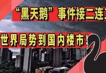 太阳财富:“黑天鹅”事件接二连三!从世界局势到国内楼市!