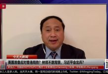 王军涛:取消习近平国家元首称号,打击中共保中国?