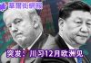 华尔街网报:洋访民注意了! 川习12月欧洲见;伦敦北约峰会是首选地点