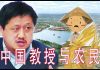 林林七:中国的教授与农民