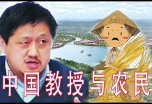 林林七:中国的教授与农民