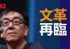 陶杰:中国人骨子里有文革基因,离新的一场不远了
