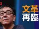 陶杰:中国人骨子里有文革基因,离新的一场不远了