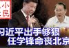 小民之心:习近平出手够狠 任学锋命丧北京