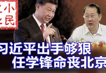 小民之心:习近平出手够狠 任学锋命丧北京
