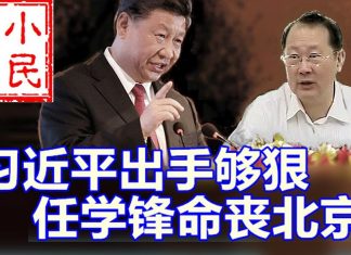 小民之心:习近平出手够狠 任学锋命丧北京