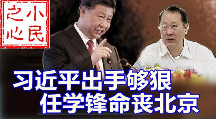 小民之心:习近平出手够狠 任学锋命丧北京