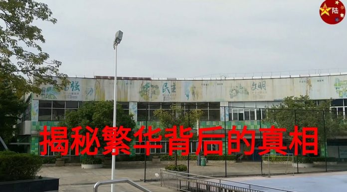 中国真相80:习近平瞎折腾,昔日的世界工厂东莞低端人口流失的惨状
