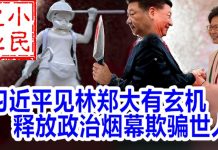 小民之心:习近平见林郑大有玄机 释放政治烟幕欺骗世人