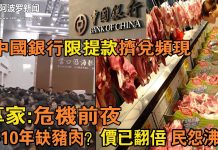 阿波罗:专家:危机前夜 将10年缺猪肉?中国银行限提款挤兑频现