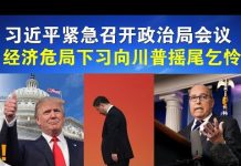 郭宝胜:习近平紧急召开政治局会议、经济危局下习向川普摇尾乞怜