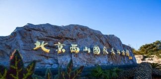 中国观察:【高层内幕】美中战争箭在弦上,为防美斩首行动,中南海西山地下秘密防核地堡升级