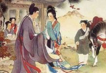 林林七:一入豪门深似海,从此箫郎是路人,谈谈北京禁狗
