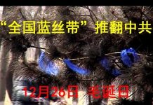 中国观察:港人计划发起12月26日毛诞日“全国蓝丝带”推翻中共行动