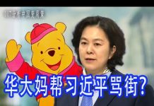 林林七:外交部华春莹开口就是骂街,习近平将把中国带到沟里去
