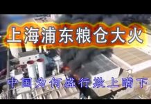 林林七:上海浦东粮仓大火,又要检查粮食库存了吗?