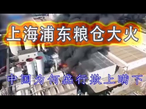 林林七:上海浦东粮仓大火,又要检查粮食库存了吗?