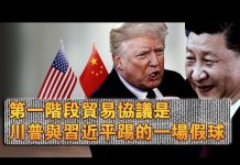 张杰:第一阶段贸易协议是川普与习近平踢的一场假球