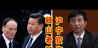 吴建民:岐山老辣,沪宁狡诈,一习二王,互踩互拉,中共不灭,内斗不止!