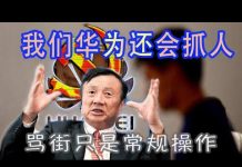 林林七:华为称:我们还会抓人,骂街只是常规操作