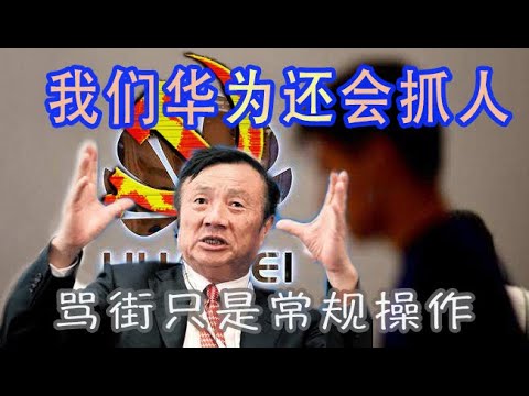 林林七:华为称:我们还会抓人,骂街只是常规操作